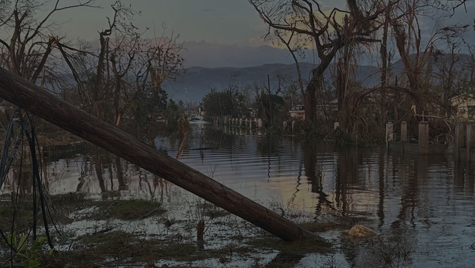 Hurricane Melissa Relief in Jamaica